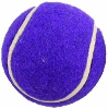 Walkerballs Purple